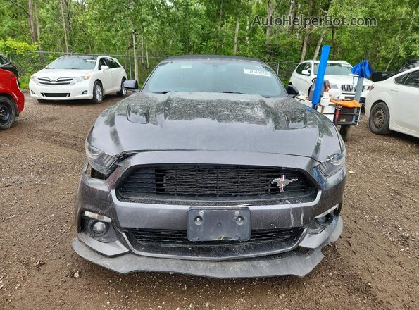 1FATP8FF5H5341403 2017 FORD MUSTANG Серый Вид спереди