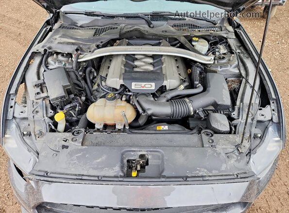 1FATP8FF5H5341403 2017 FORD MUSTANG Серый Вид задней части салона