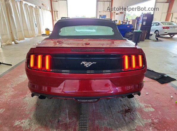 1FATP8UH0G5231930 2016 FORD MUSTANG Burgundy Rear view