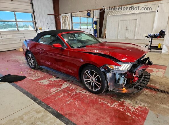 1FATP8UH0G5231930 2016 FORD MUSTANG Burgundy Front right