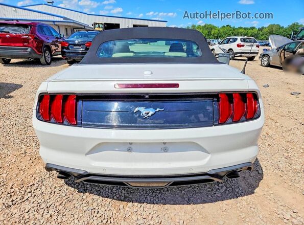 1FATP8UH1K5165994 2019 FORD MUSTANG White უკანა ხედი