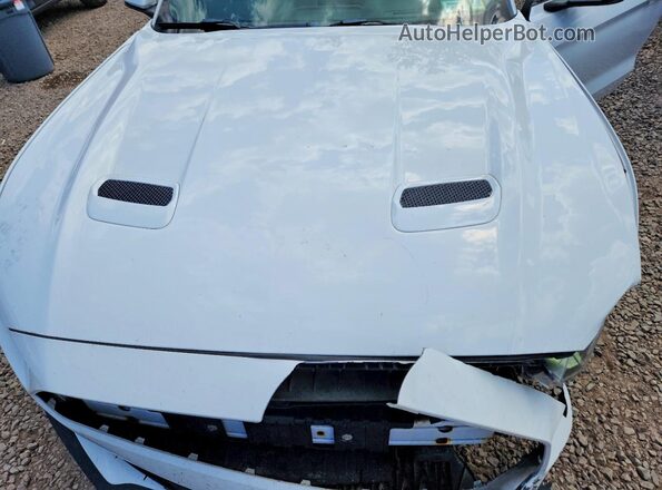 1FATP8UH1K5165994 2019 FORD MUSTANG White უკანა სალონის ხედი