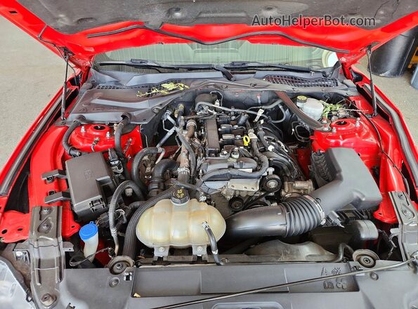 1FATP8UH1M5105748 2021 FORD MUSTANG Red Widok wnętrza z tyłu