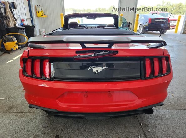 1FATP8UH1M5105748 2021 FORD MUSTANG Red Widok z tyłu