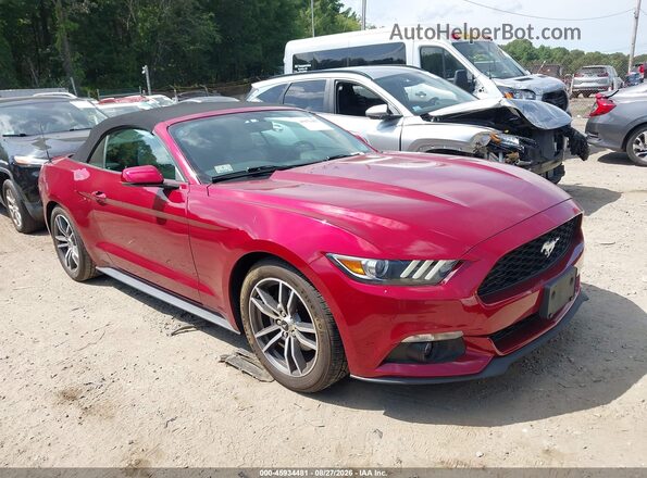 1FATP8UH2G5207323 2016 FORD MUSTANG Red Widok wnętrza z tyłu