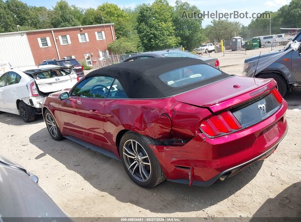 1FATP8UH2G5207323 2016 FORD MUSTANG Red Widok wnętrza 360 stopni