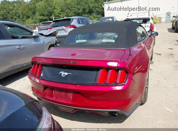 1FATP8UH2G5207323 2016 FORD MUSTANG Red 