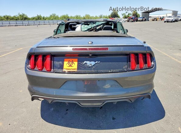 1FATP8UH2G5291627 2016 FORD MUSTANG Gray Вид ззаду