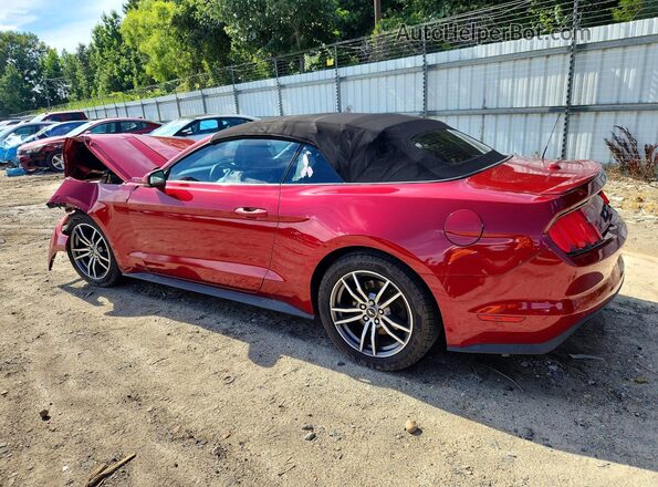 1FATP8UH2H5230425 2017 FORD MUSTANG Red Հետևի ձախ
