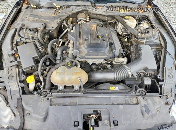 1FATP8UH2J5118309 2018 FORD MUSTANG Черный Вид задней части салона