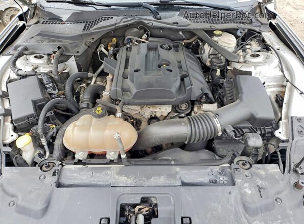 1FATP8UH2K5131207 2019 FORD MUSTANG Gray Rear interior view