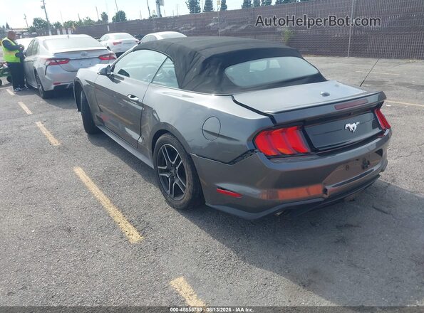 1FATP8UH3K5126226 2019 FORD MUSTANG Gray უკანა მარცხენა