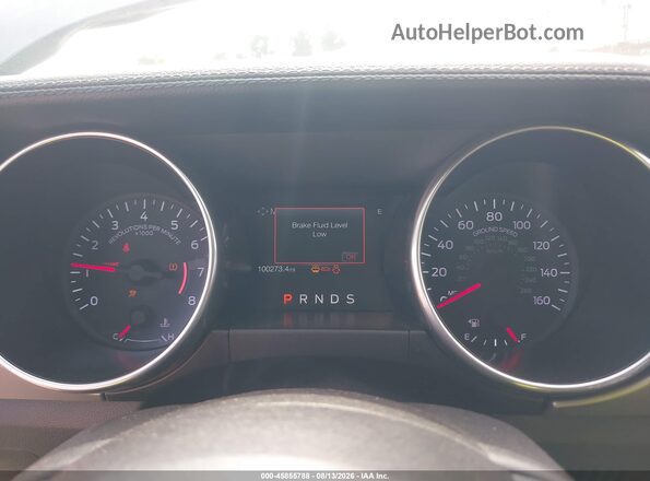 1FATP8UH3K5126226 2019 FORD MUSTANG Gray უკანა სავარძლების ხედი