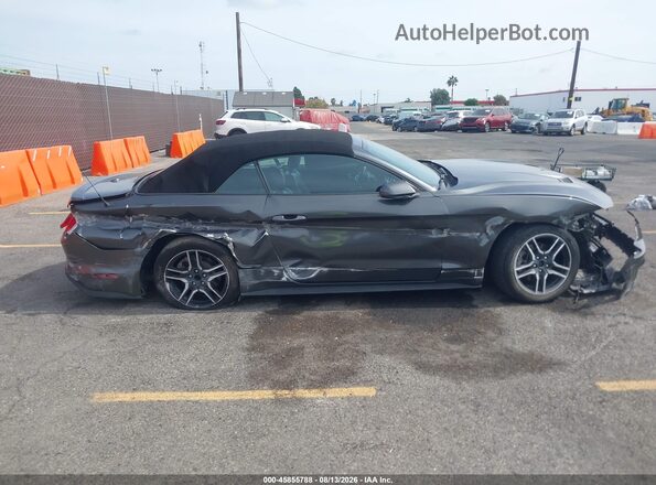 1FATP8UH3K5126226 2019 FORD MUSTANG Gray უკანა სალონის ხედი