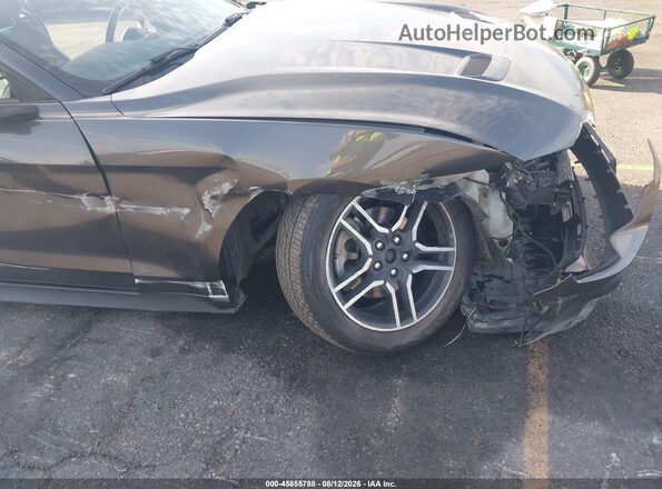 1FATP8UH3K5126226 2019 FORD MUSTANG Gray 
