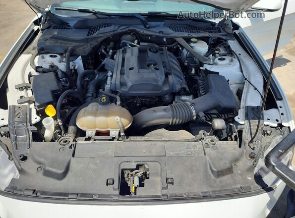 1FATP8UH4K5131497 2019 FORD MUSTANG White Вид задньої частини салону