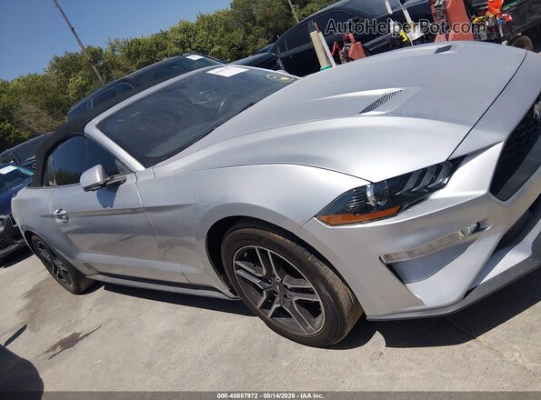 1FATP8UH4K5162300 2019 FORD MUSTANG Silver Вид задньої частини салону