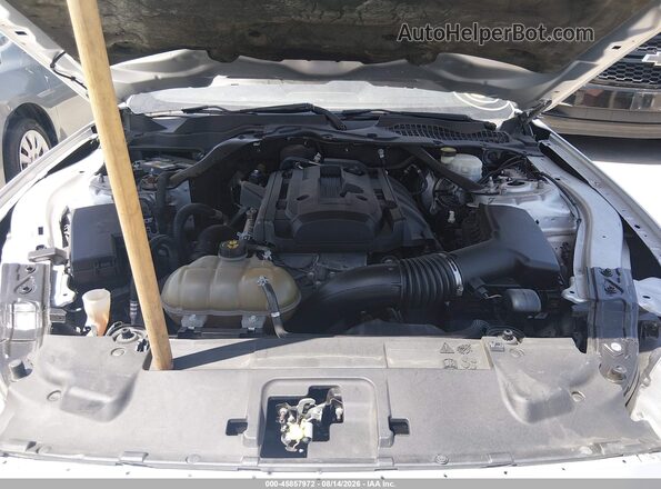 1FATP8UH4K5162300 2019 FORD MUSTANG Silver Вид ззаду