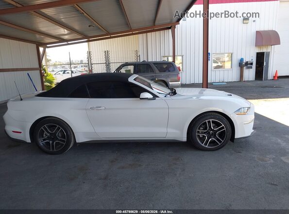 1FATP8UH4K5162474 2019 FORD MUSTANG White Вид задньої частини салону