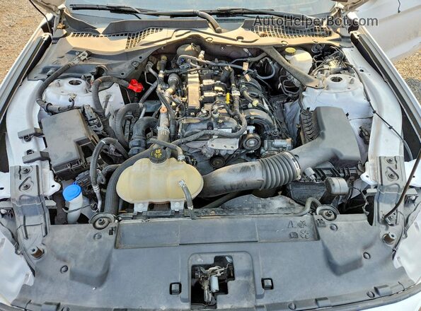 1FATP8UH4M5123922 2021 FORD MUSTANG White Սալոնի հետևի տեսք