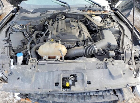 1FATP8UH6L5148481 2020 FORD MUSTANG Black Widok wnętrza z tyłu