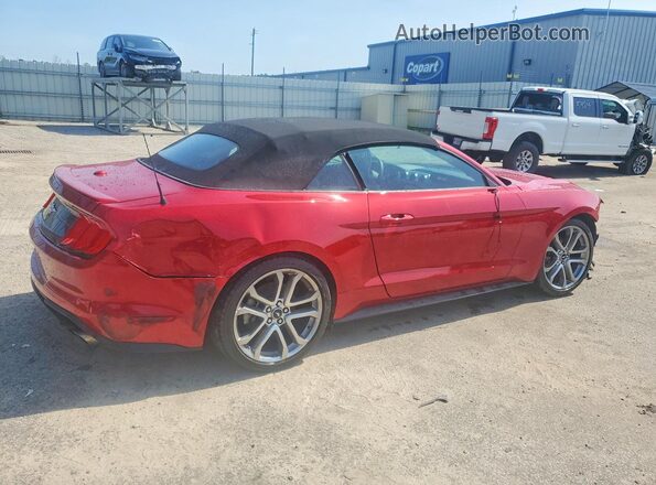 1FATP8UH6M5154377 2021 FORD MUSTANG Burgundy Trasero derecho