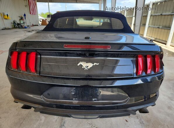 1FATP8UH7M5101204 2021 FORD MUSTANG Black Հետևի տեսք