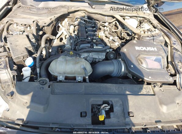 1FATP8UH7M5107102 2021 FORD MUSTANG Black Rear view