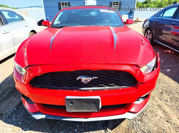 1FATP8UH8H5278575 2017 FORD MUSTANG Red Vista frontal