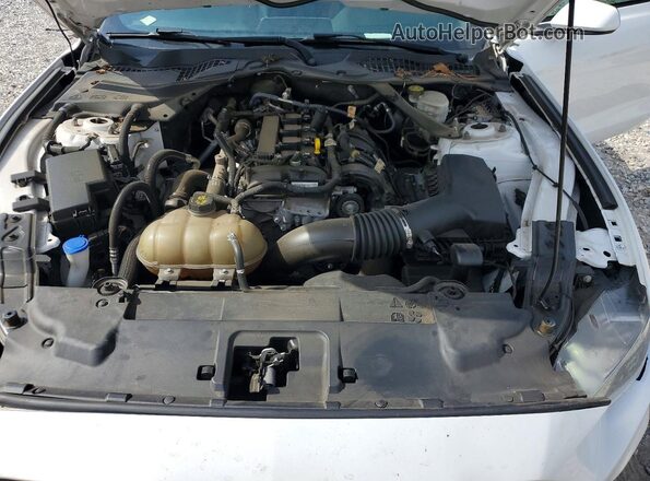 1FATP8UH8M5124958 2021 FORD MUSTANG White Սալոնի հետևի տեսք