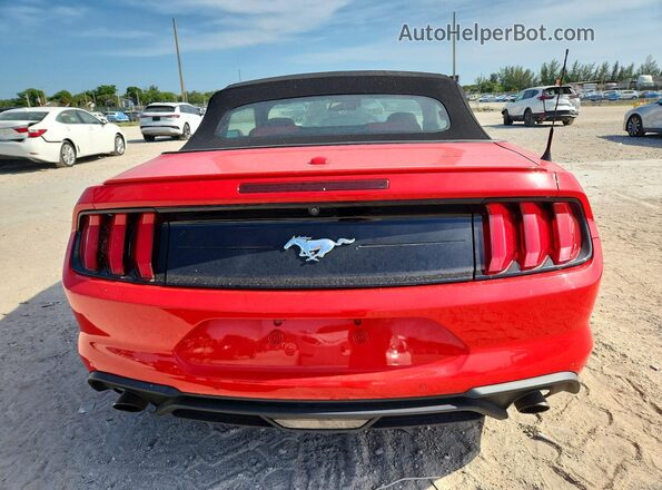 1FATP8UH9M5129649 2021 FORD MUSTANG Red Widok z tyłu