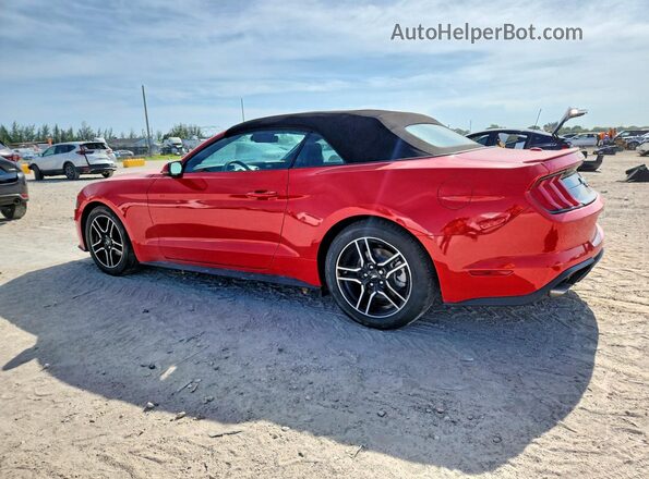 1FATP8UH9M5129649 2021 FORD MUSTANG Red Tył lewy