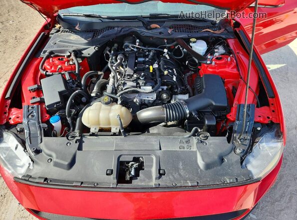 1FATP8UH9M5129649 2021 FORD MUSTANG Red Widok wnętrza z tyłu