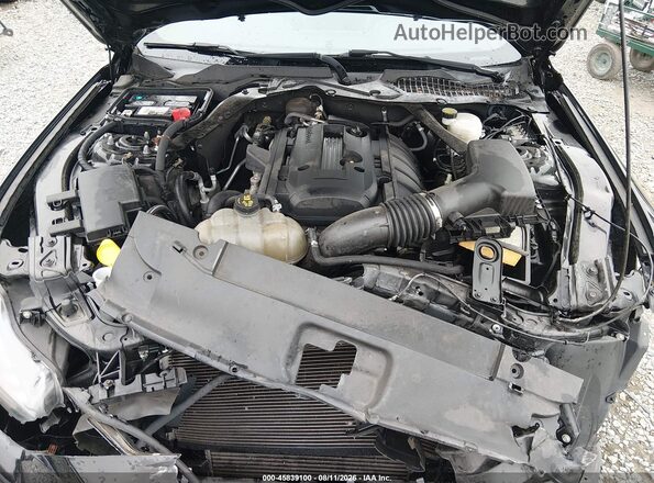 1FATP8UHXG5221695 2016 FORD MUSTANG Black Widok z tyłu