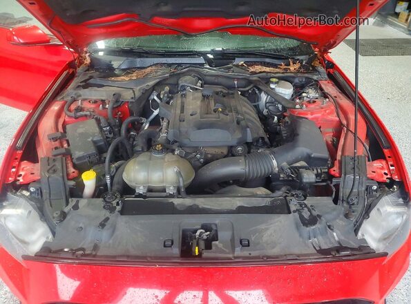 1FATP8UHXK5109603 2019 FORD MUSTANG Red Սալոնի հետևի տեսք