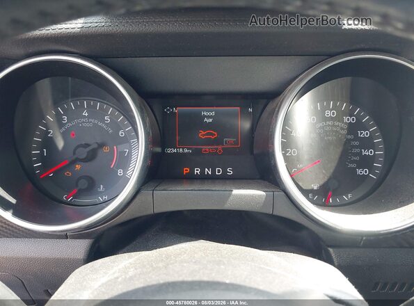 1FATP8UHXK5192210 2019 FORD MUSTANG Blue Հետևի նստատեղերի տեսք