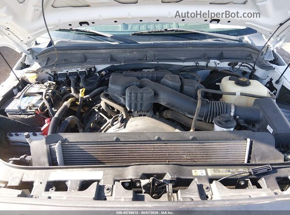 1FDBF2A62GED31144 2016 FORD F-250 White Widok z tyłu