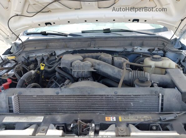 1FDBF2A62GED31158 2016 FORD F-250 White Widok z tyłu