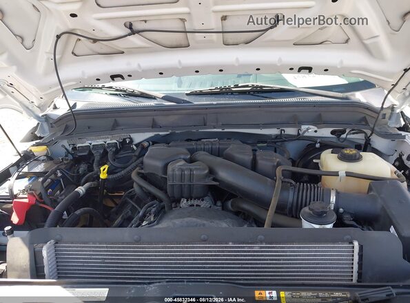 1FDBF2A65GED31154 2016 FORD F-250 White Widok z tyłu