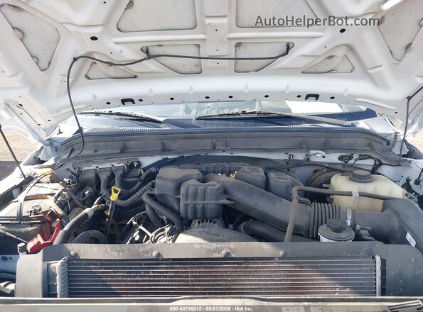 1FDBF2A68GED31133 2016 FORD F-250 White Widok z tyłu