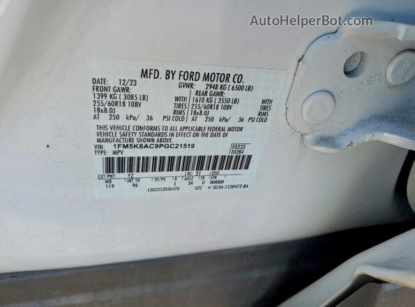 1FM5K8AC9PGC21519 2023 FORD EXPLORER White Widok komory silnika