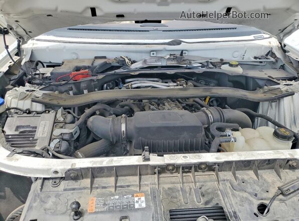 1FM5K8HC9MGC09565 2021 FORD EXPLORER White Շարժիչի բաժամունքի տեսք