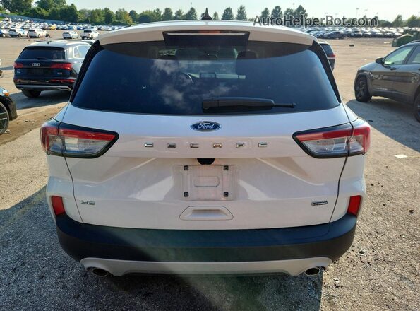 1FMCU0BZ8LUA80606 2020 FORD ESCAPE White უკანა ხედი