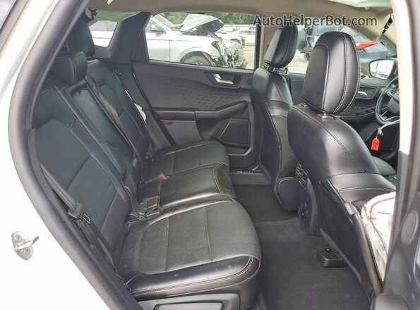 1FMCU0DZ7LUC08413 2020 FORD ESCAPE Белый Вид задней части салона