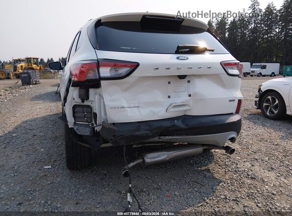 1FMCU0DZ8LUB79018 2020 FORD ESCAPE White Widok z przodu
