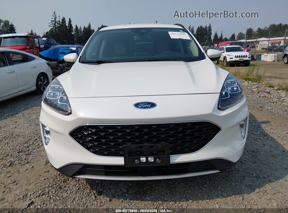 1FMCU0DZ8LUB79018 2020 FORD ESCAPE White Widok wnętrza z tyłu