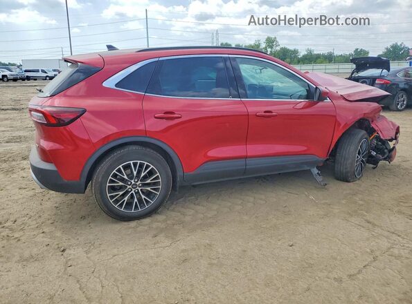 1FMCU0E1XSUB64446 2025 FORD ESCAPE Красный Задняя правая четверть