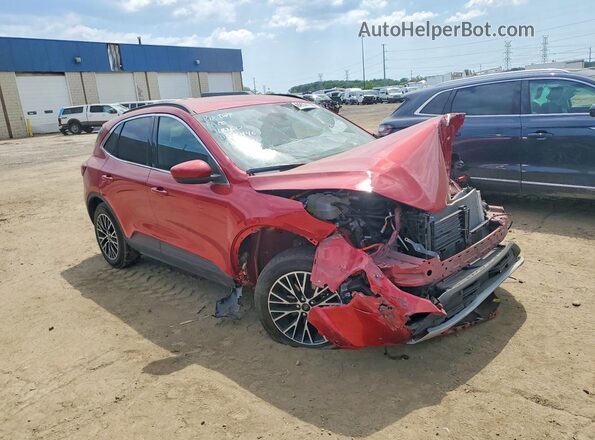 1FMCU0E1XSUB64446 2025 FORD ESCAPE Красный Передняя правая четверть