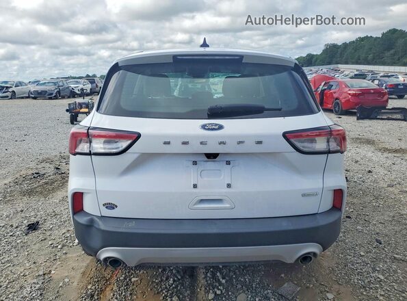 1FMCU0F65LUC31689 2020 FORD ESCAPE White უკანა ხედი