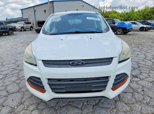 1FMCU0F71GUB19695 2016 FORD ESCAPE Белый Вид спереди